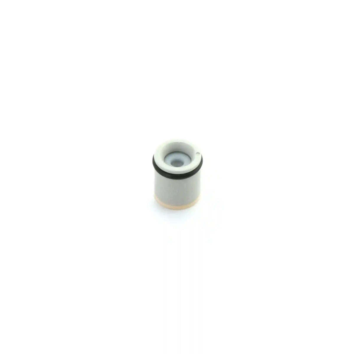 Moen Check Valve Kit