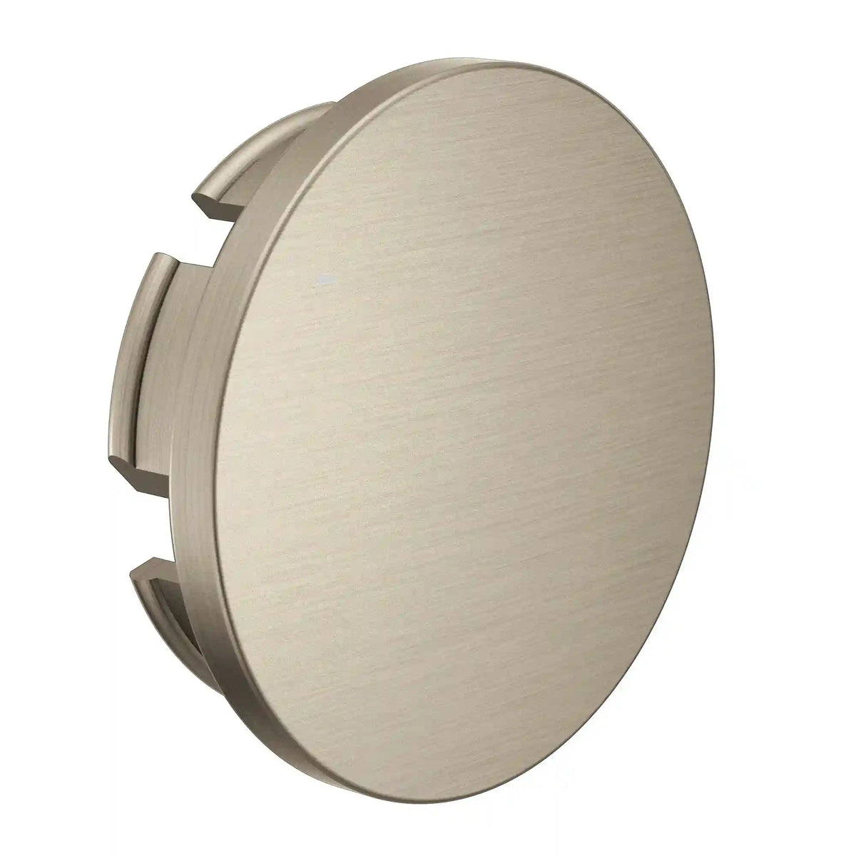 Moen Cap Kit