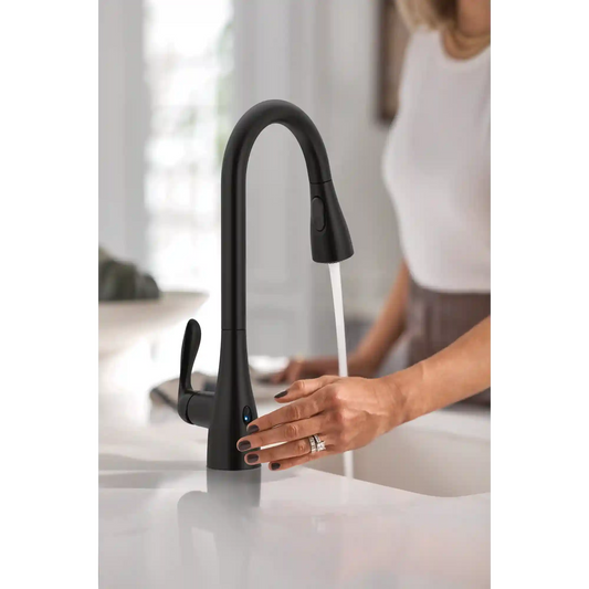 Georgene One-Handle High Arc Pulldown Kitchen Faucet