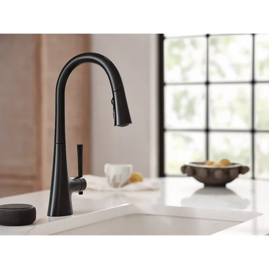 Kurv One-Handle High Arc Pulldown Kitchen Faucet