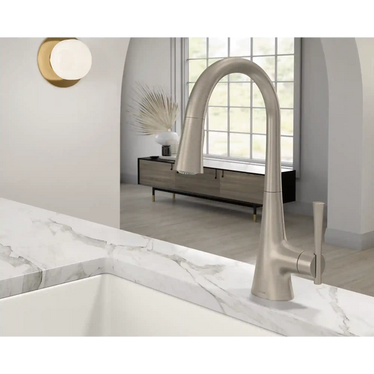 Kurv One-Handle High Arc Pulldown Kitchen Faucet
