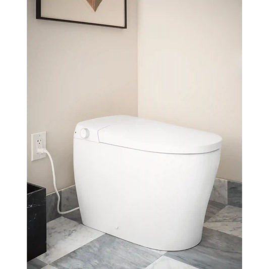 3-Series Electronic Cleansing Toilet