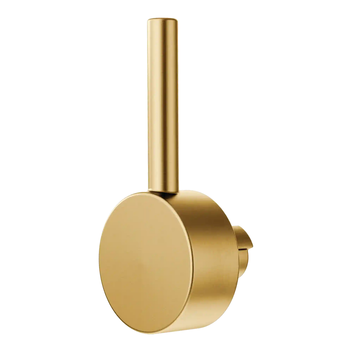 Moen Handle Kit