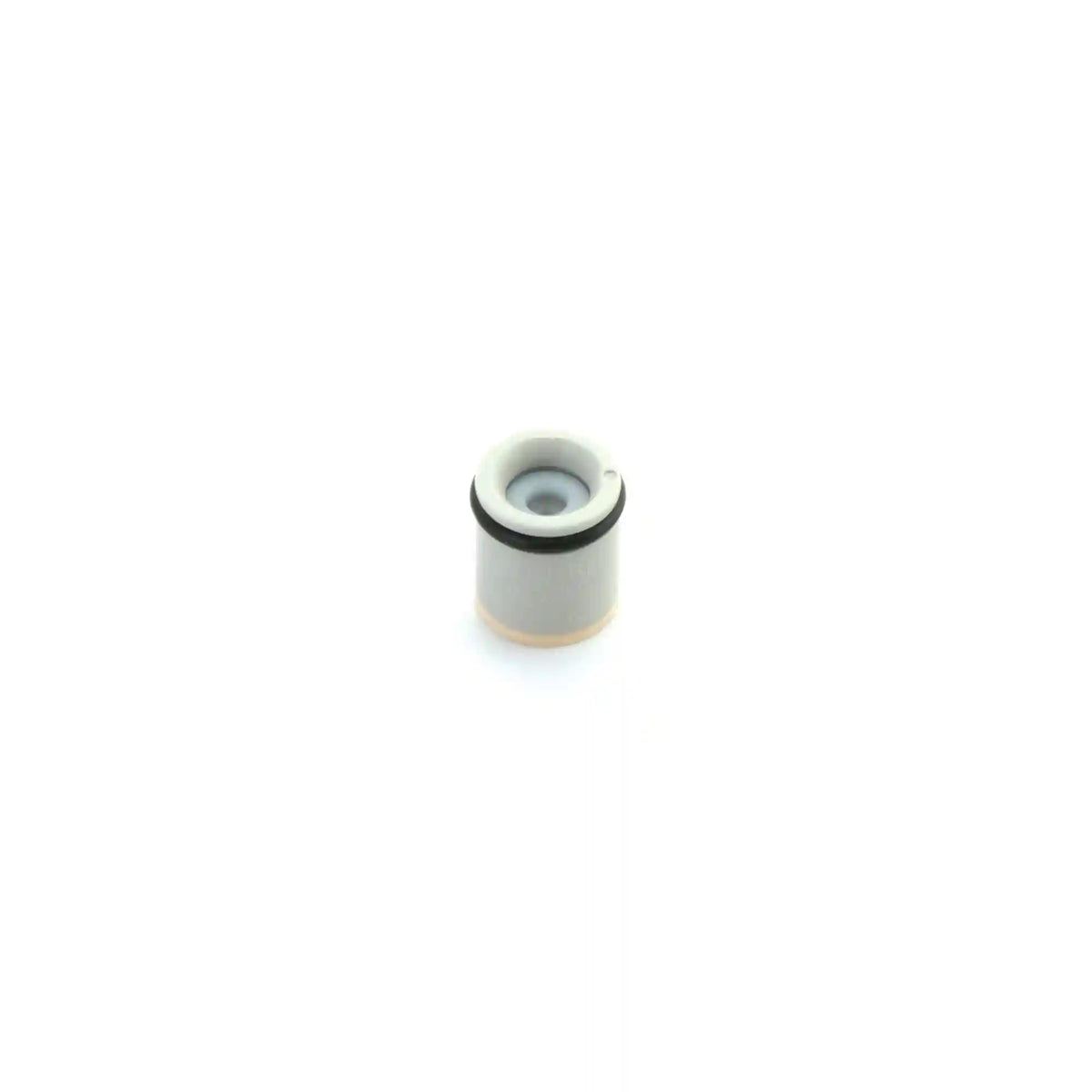 Moen Check Valve Kit