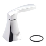 Moen Handle Kit