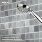 Ignite Handheld Shower