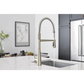 Sleek One-Handle Pre-Rinse Spring Pulldown Kitchen Faucet