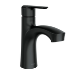 Findlay One-handle Bathroom Sink Faucet