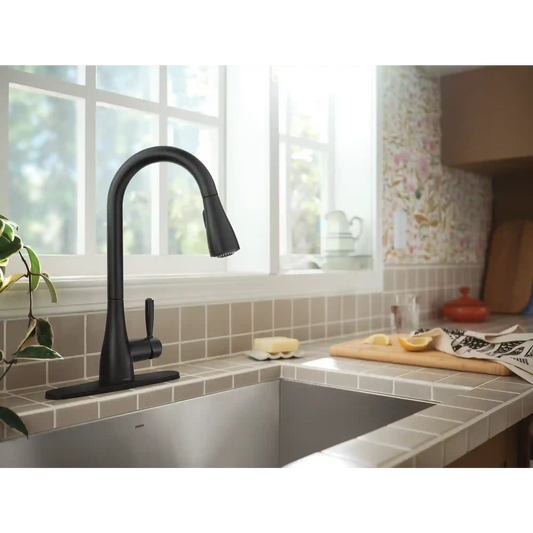 Doherty One-Handle High Arc Pulldown Kitchen Faucet