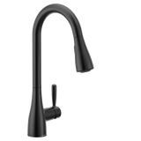 Doherty One-Handle High Arc Pulldown Kitchen Faucet