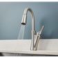 Benson One-Handle High Arc Pulldown Kitchen Faucet