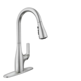 Leesi One-Handle High Arc Pulldown Kitchen Faucet