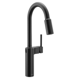 Inara One-Handle High Arc Pulldown Kitchen Faucet