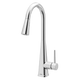 Swyre One-Handle High Arc Pulldown Kitchen Faucet