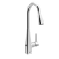 Swyre One-Handle High Arc Pulldown Kitchen Faucet