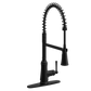 Jaslynn One-Handle High Arc Pulldown Kitchen Faucet