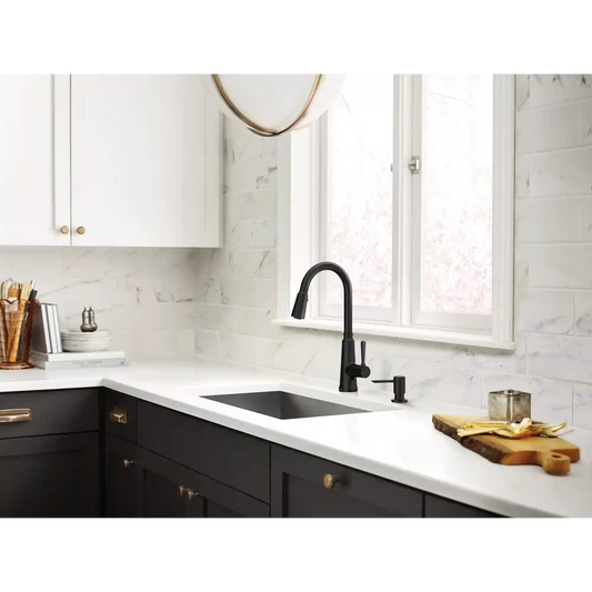 Trew One-Handle High Arc Pulldown Kitchen Faucet