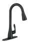 Georgene One-Handle High Arc Pulldown Kitchen Faucet