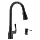 Georgene One-Handle High Arc Pulldown Kitchen Faucet