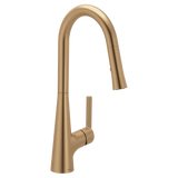 Ronan One-Handle High Arc Pulldown Kitchen Faucet with SwivelControl