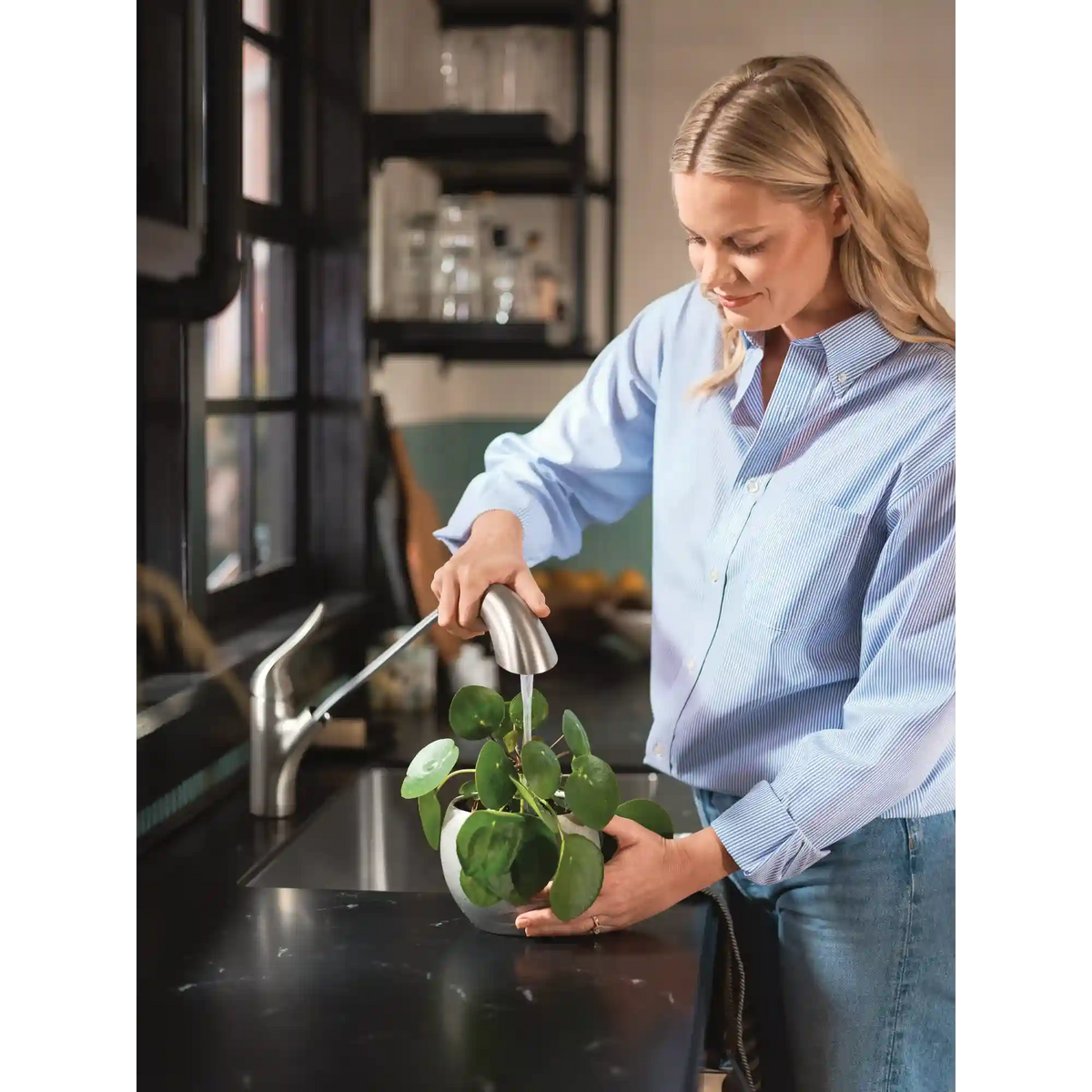 Koa One-Handle Low Arc Pullout Kitchen Faucet