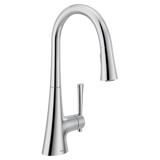 Kurv One-Handle High Arc Pulldown Kitchen Faucet