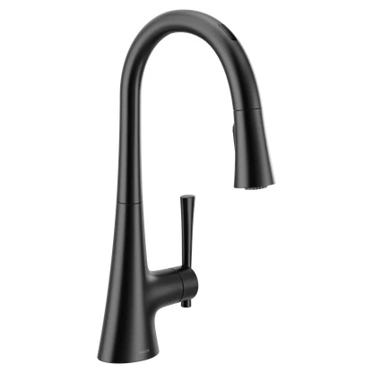 Kurv Smart Faucet Voice Control One-Handle High Arc Pulldown Kitchen Faucet