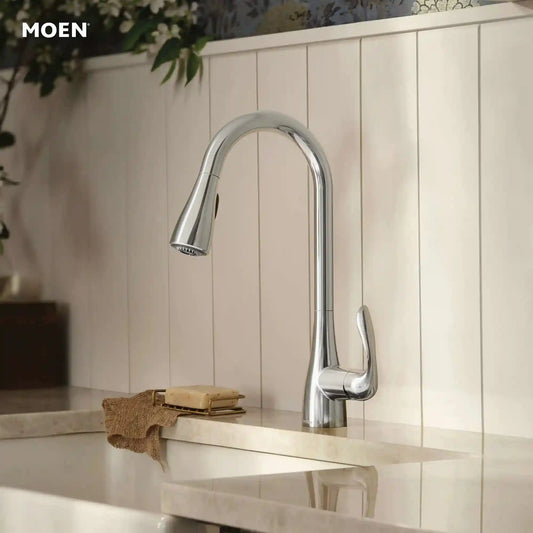Georgene One-Handle High Arc Pulldown Kitchen Faucet