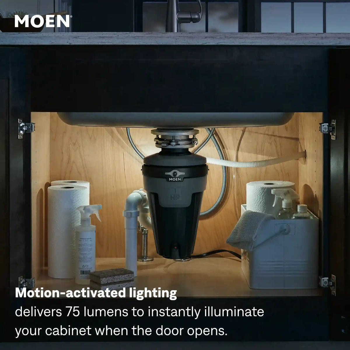 EX Series 1 Horsepower Lighted Garbage Disposal