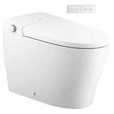 3-Series Electronic Cleansing Toilet
