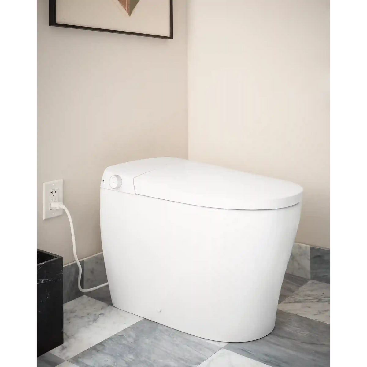 3-Series Electronic Cleansing Toilet
