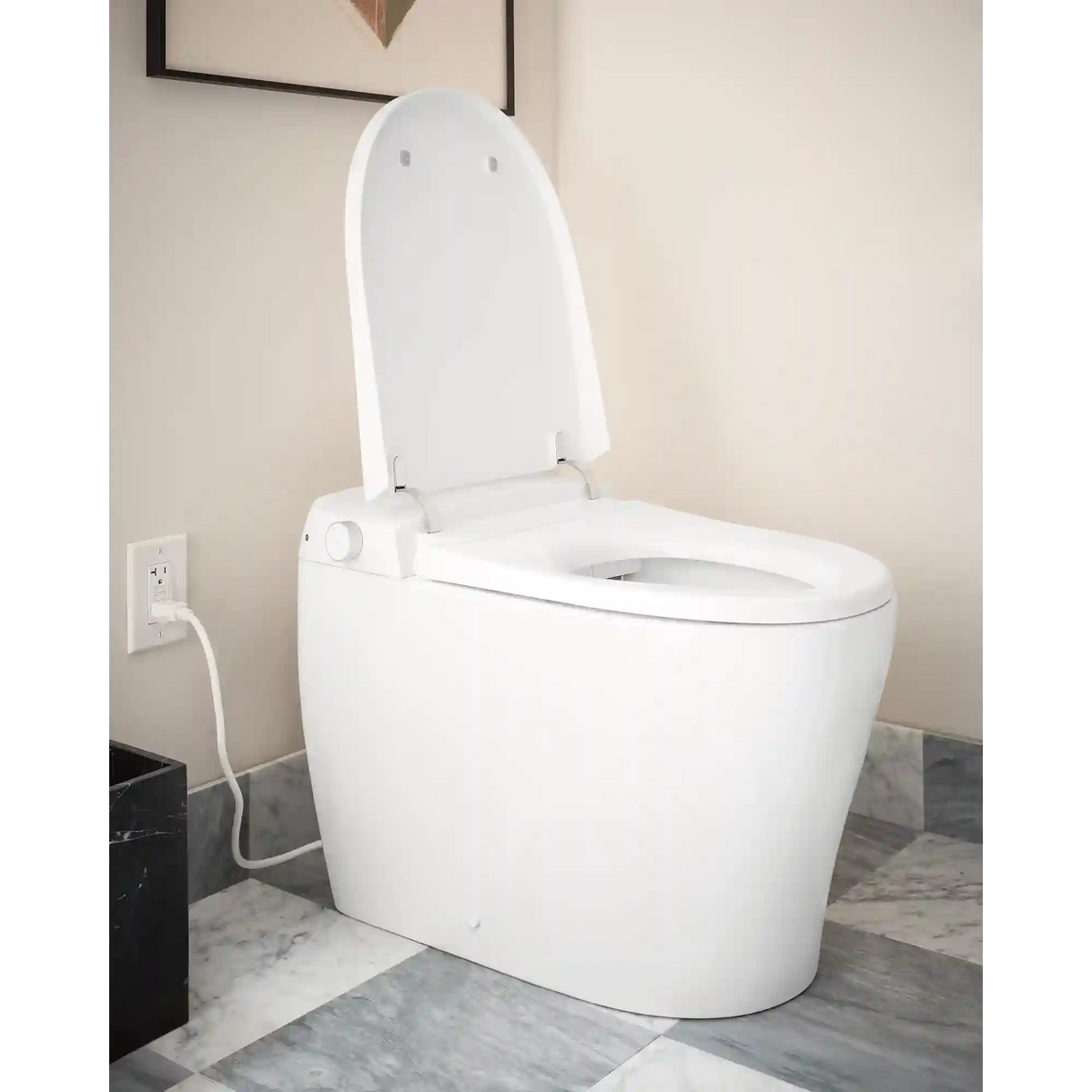 3-Series Electronic Cleansing Toilet