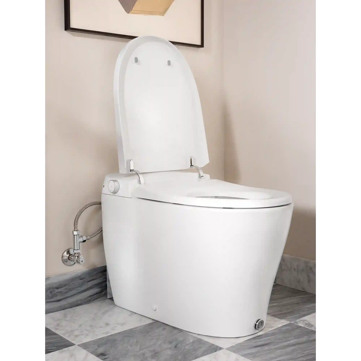 5-Series Electronic Cleansing Toilet