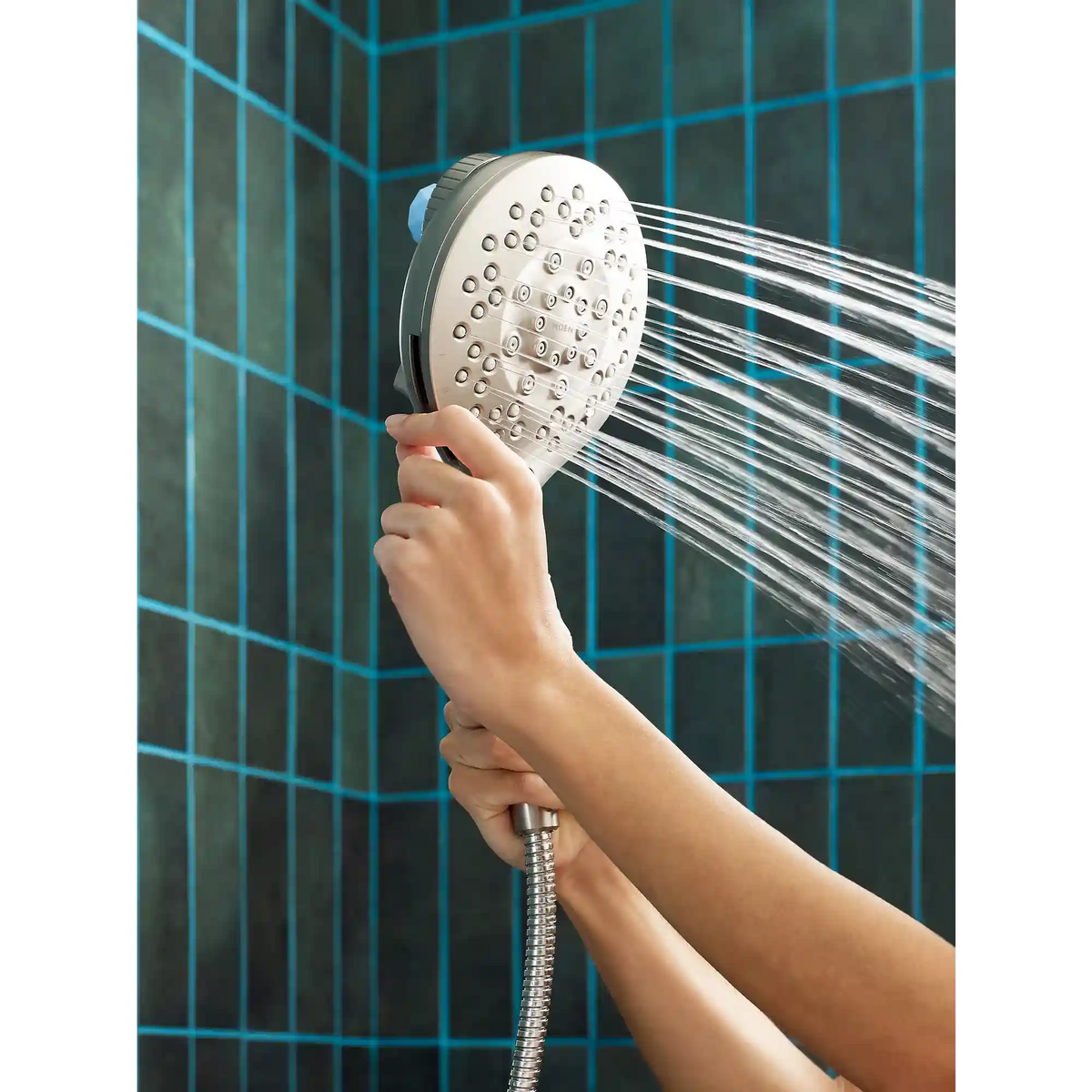 Inly Moen® Aromatherapy Handshower In with Magnetix®