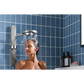 Moen Spa Shower Two-Function 7.9" Diameter Spray Head Standard with Handshower