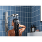 Moen Spa Shower Two-Function 7.9" Diameter Spray Head Standard with Handshower