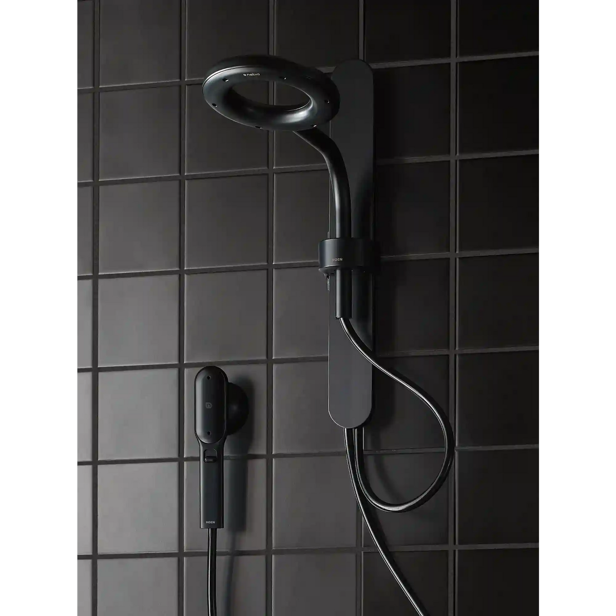 Moen Spa Shower Two-Function 7.9" Diameter Spray Head Standard with Handshower