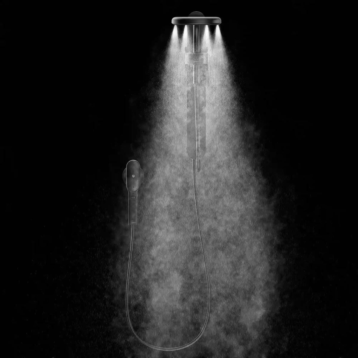 Moen Spa Shower Two-Function 7.9" Diameter Spray Head Standard with Handshower
