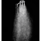 Moen Spa Shower One-Function 7.9" Diameter Spray Head Rainshower