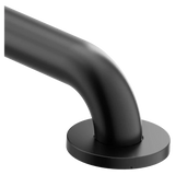 Moen Home Care 48" Concealed Screw Grab Bar