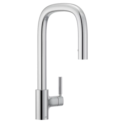 Tenon One-Handle High Arc Pulldown Kitchen Faucet