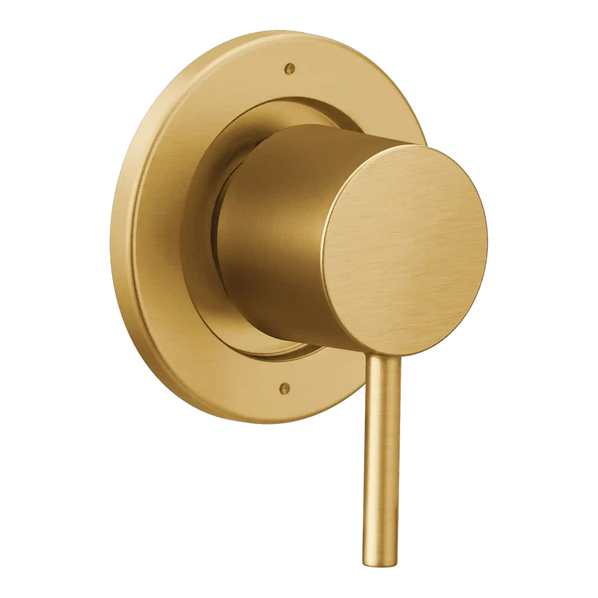 Align Transfer Valve Trim