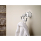 Dartmoor Double Robe Hook